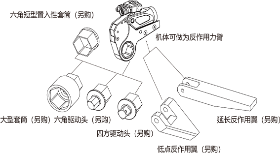 ts1